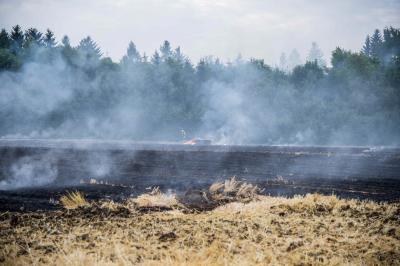 Huefingen-Behla: 7000 Quadratmeter Stoppelfeld in Brand - Feuerwehren im Einsatz
